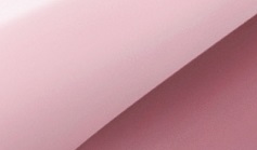 ナデシコピンク(PM) <#NAR>