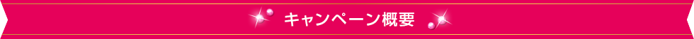 キャンペーン概要