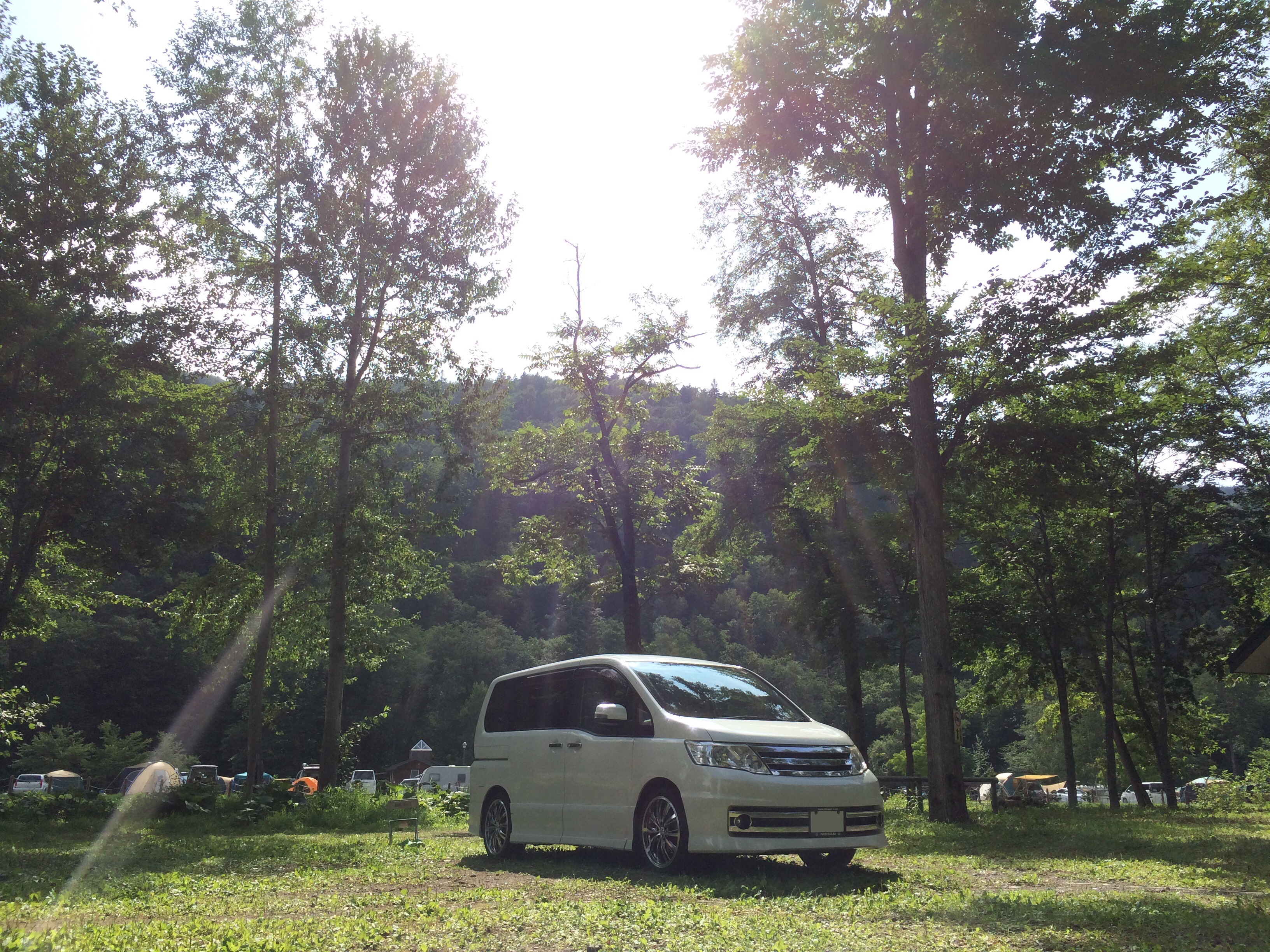 車種別一覧（全車種） | Owner's Voice | オーテック事業部 | 日産モータースポーツ＆カスタマイズ株式会社